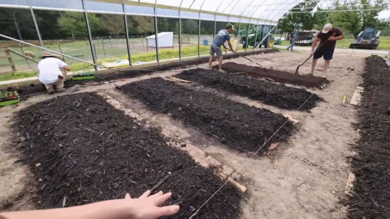 How to Start a No-Dig Garden for Better Soil Health
